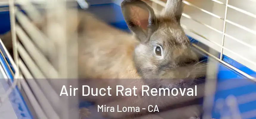  Air Duct Rat Removal Mira Loma - CA