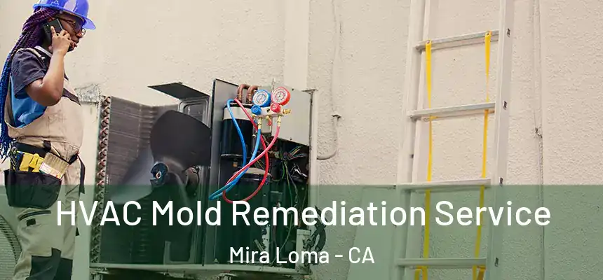  HVAC Mold Remediation Service Mira Loma - CA