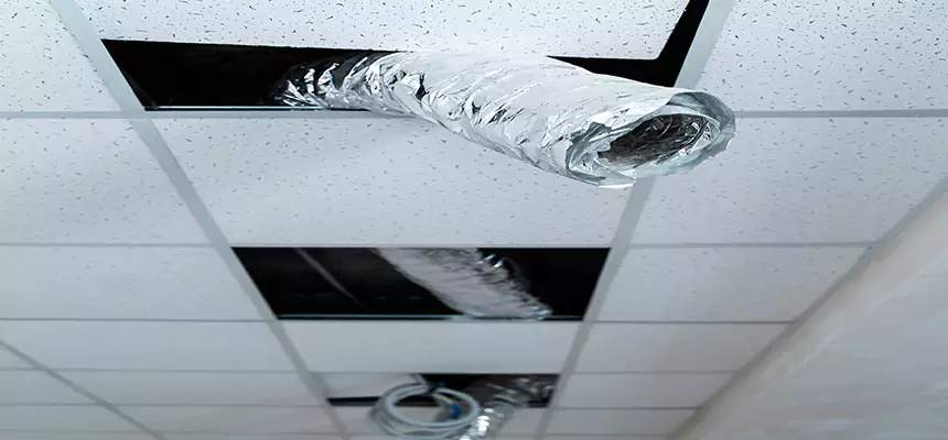 Affordable HVAC Sanitizing After Pest Removal in Mira Loma