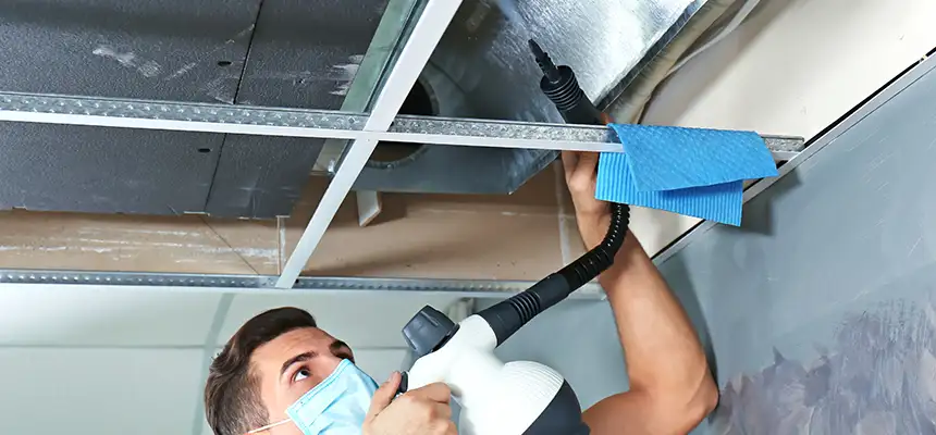 Our Air Duct Rodent Removal Services in Mira Loma, CA