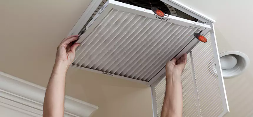 Our Insect Removal from Air Ducts Services in Mira Loma, CA