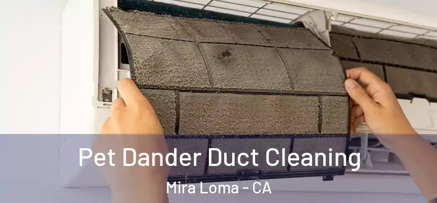  Pet Dander Duct Cleaning Mira Loma - CA