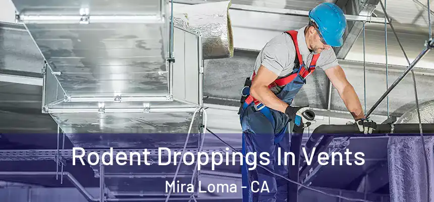  Rodent Droppings In Vents Mira Loma - CA