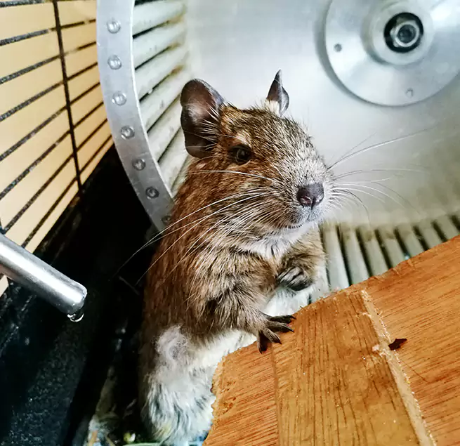 Why Homeowners & Businesses Trust Us Mira Loma, CA