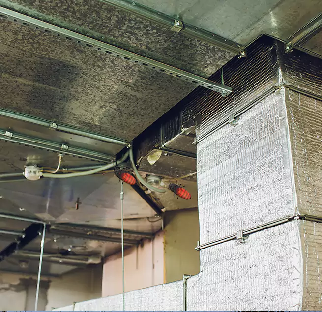 Why Homeowners & Businesses Trust Us Mira Loma, CA?