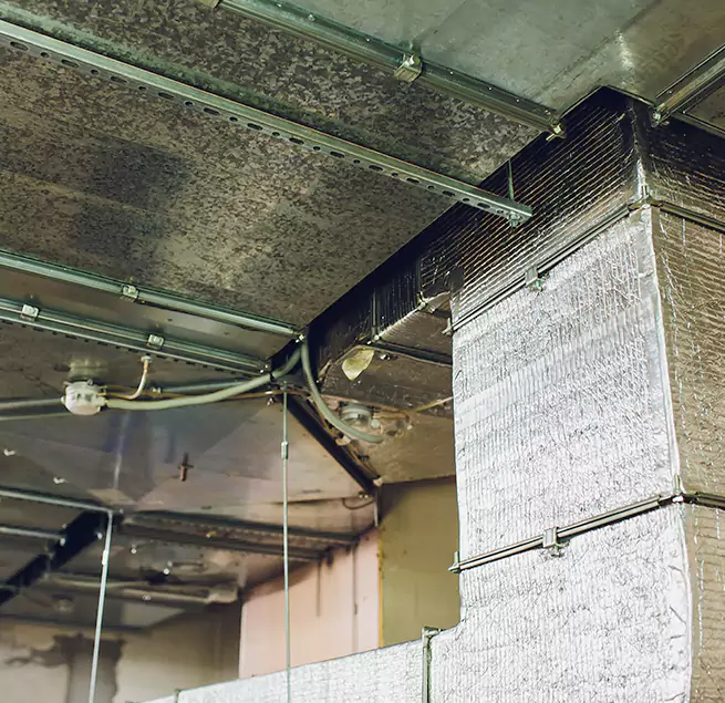 Why Homeowners & Businesses Trust Us in Mira Loma, CA?